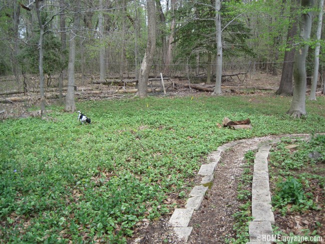 homemoyaone_deerfence