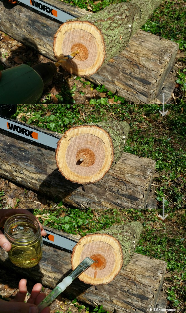 homemoyaone_mushroomplugs