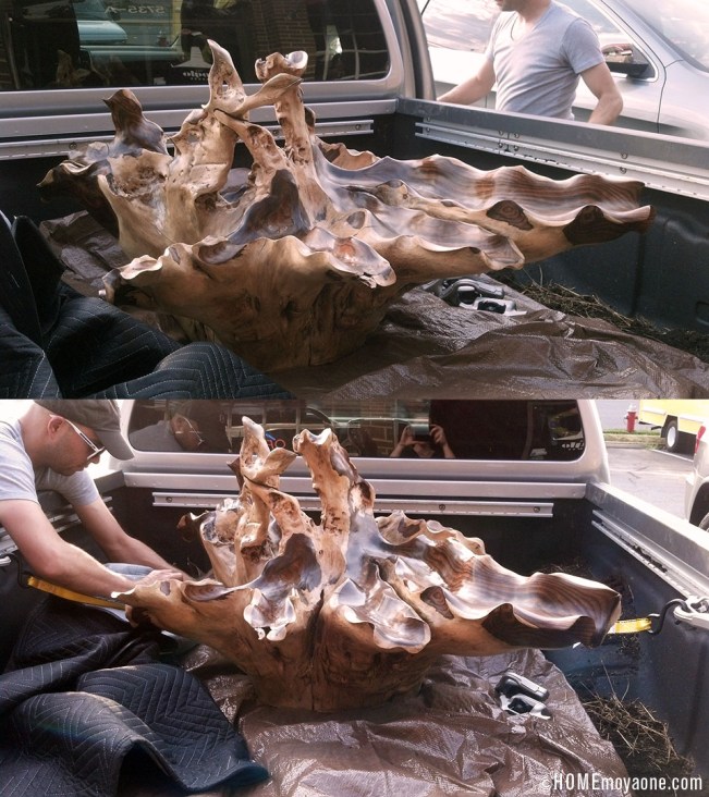 HOMEmoyaone_rosewood-root-sculpture