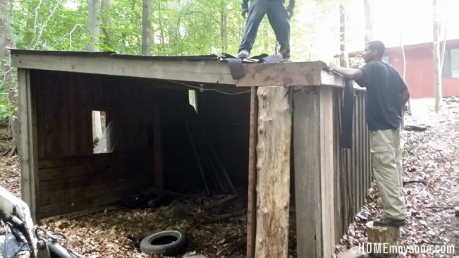 homemoyaone_fixing-the-shed-roof2