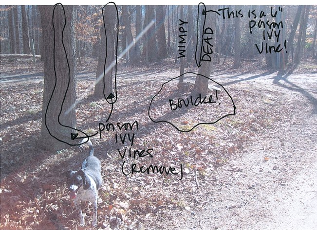 homemoyaone_triangle-plans2