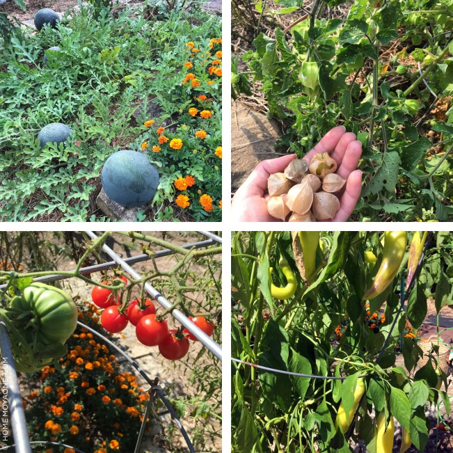 homemoyaone_garden-scenes2